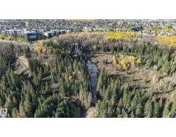 876 Twin Brooks Cl Nw Nw, Edmonton, AB T6J6V2 Photo 57