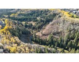 876 Twin Brooks Cl Nw Nw, Edmonton, AB T6J6V2 Photo 59