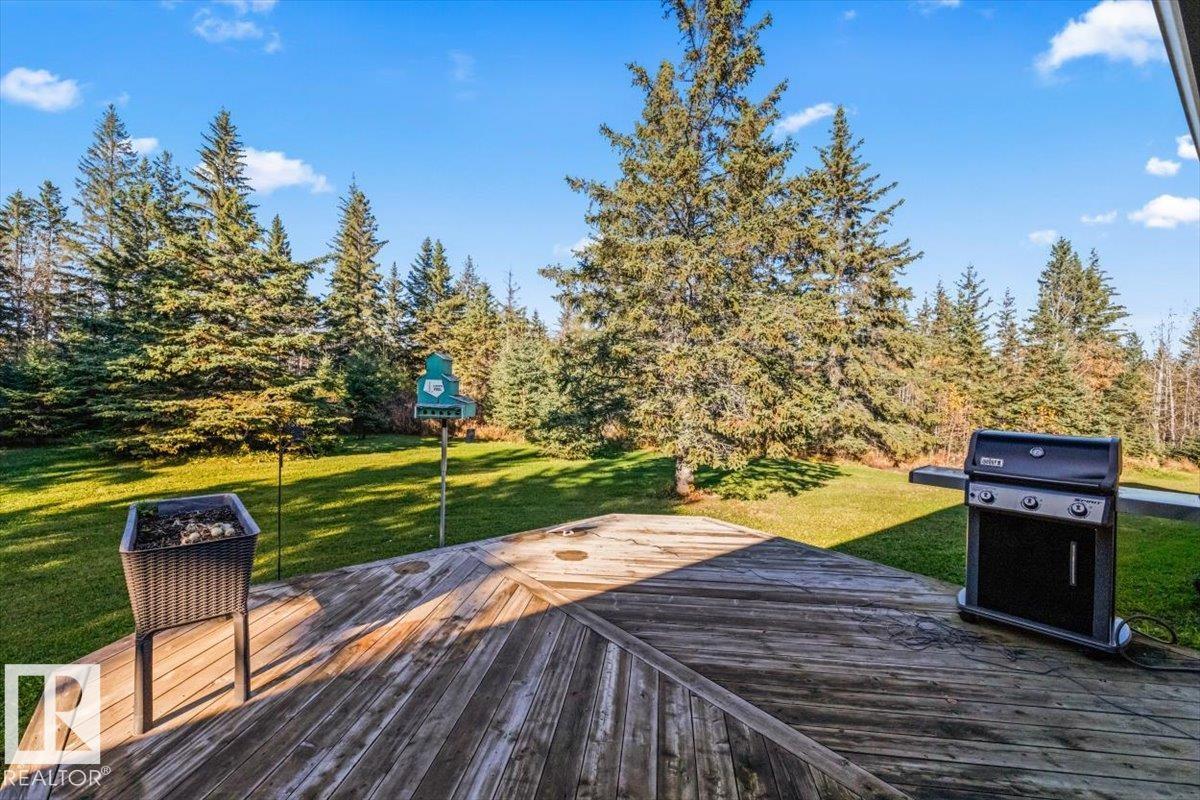 Photo 42