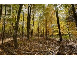 2093 Smith Road, North Frontenac, ON K0H1C0 Photo 10