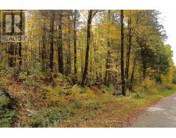 2093 Smith Road, North Frontenac, ON K0H1C0 Photo 12