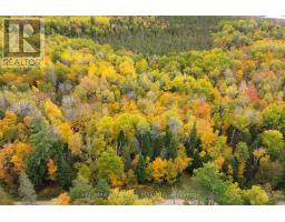 2093 Smith Road, North Frontenac, ON K0H1C0 Photo 13