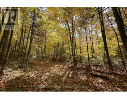 2093 Smith Road, North Frontenac, ON K0H1C0 Photo 7
