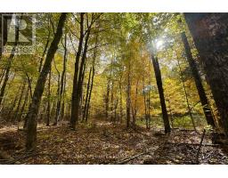 2093 Smith Road, North Frontenac, ON K0H1C0 Photo 8