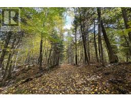 2093 Smith Road, North Frontenac, ON K0H1C0 Photo 9