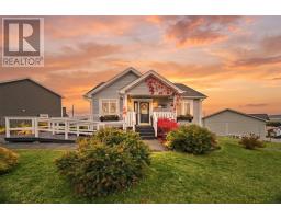 48 Cape Pine Street, St  John S, NL A1G0A7 Photo 25