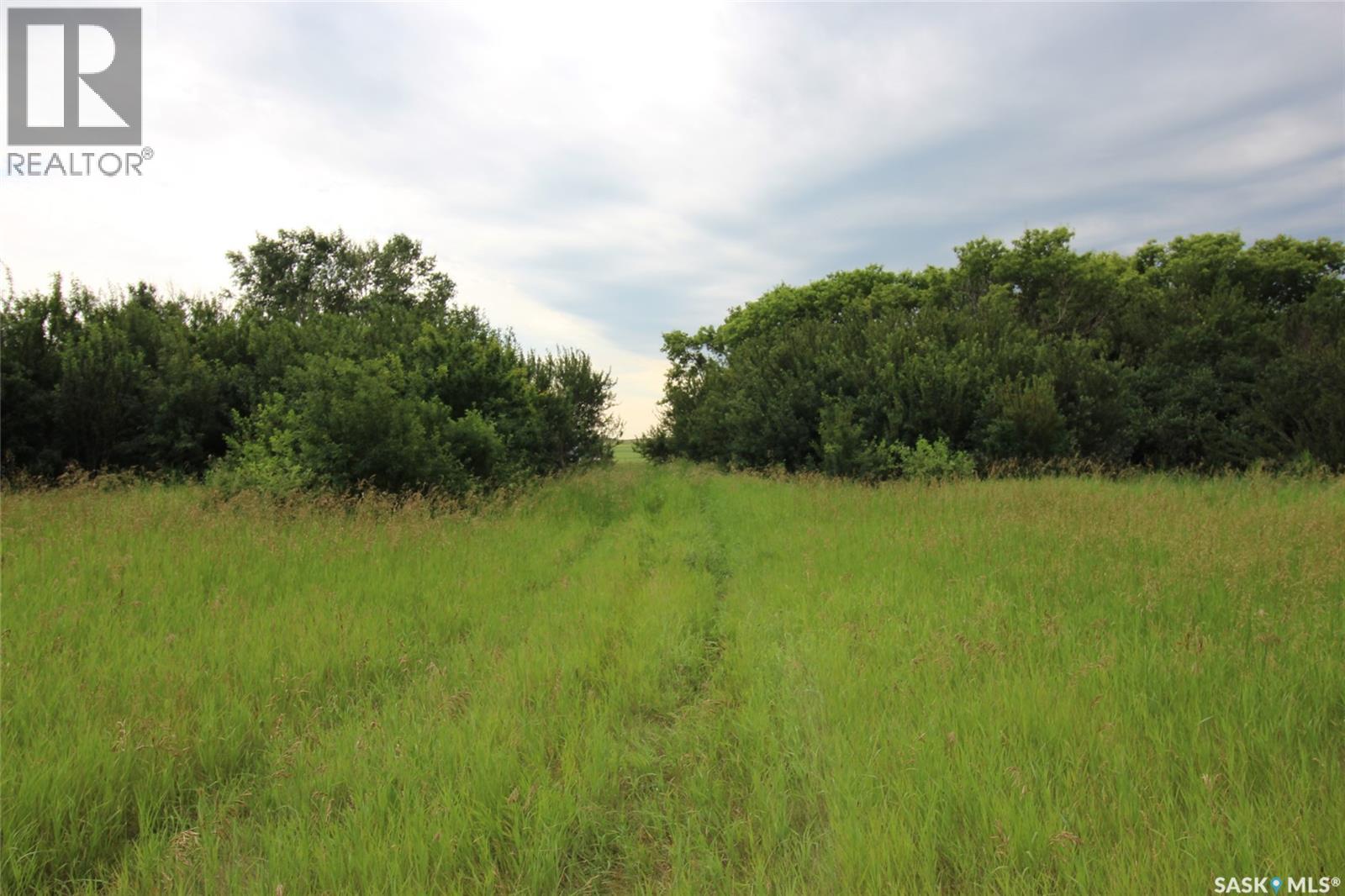 Bone Creek Homestead, Bone Creek Rm No. 108 — photo 14