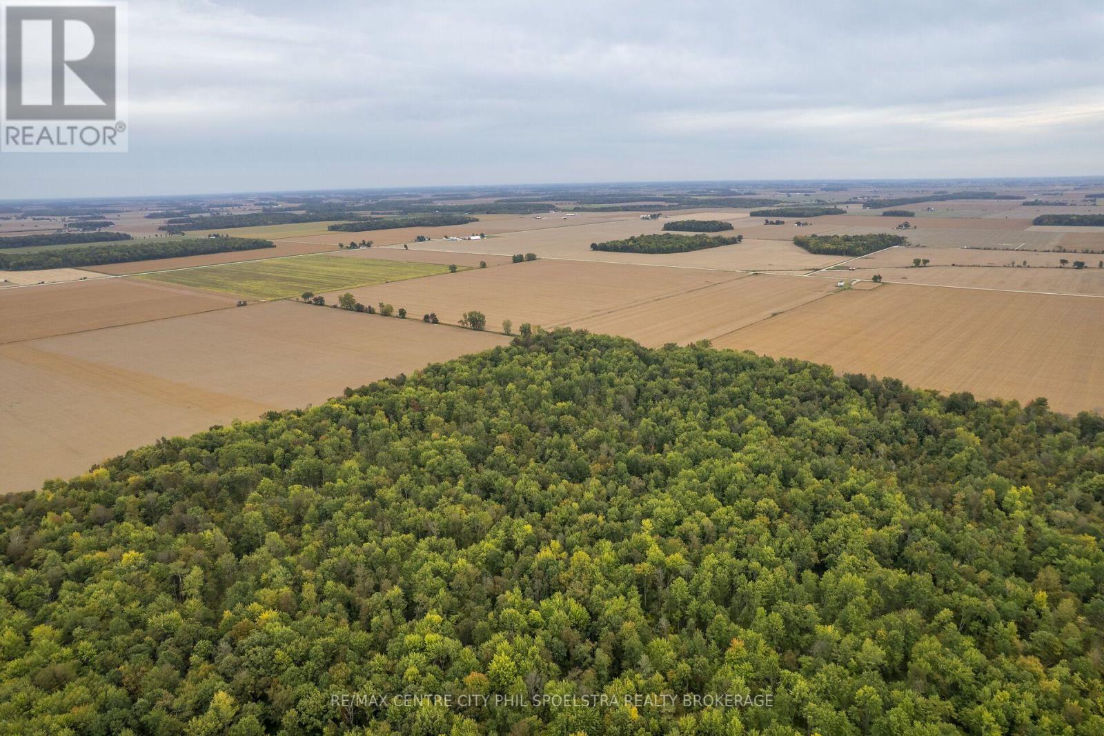 Holt Line — photo 15