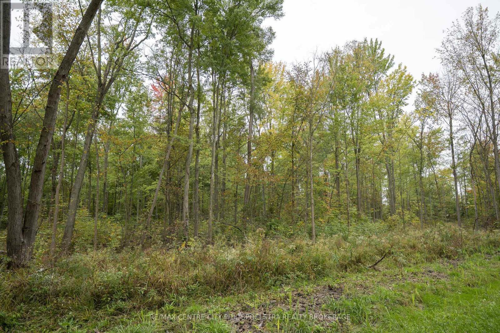 Holt Line — photo 22