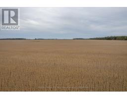 Lt 23-25 Con 10 Holt Line, St  Clair, ON N8A4L2 Photo 10