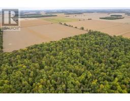 Lt 23-25 Con 10 Holt Line, St  Clair, ON N8A4L2 Photo 12