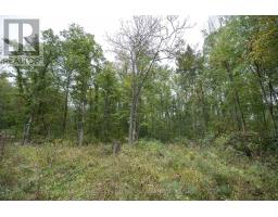 Lt 23-25 Con 10 Holt Line, St  Clair, ON N8A4L2 Photo 17