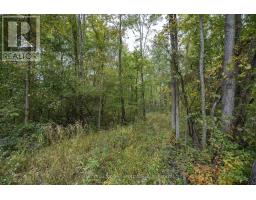 Lt 23-25 Con 10 Holt Line, St  Clair, ON N8A4L2 Photo 19