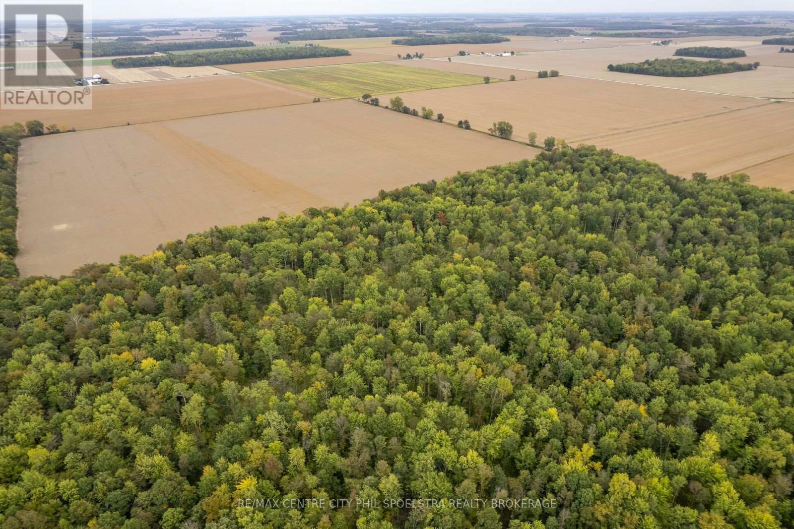Holt Line — photo 12