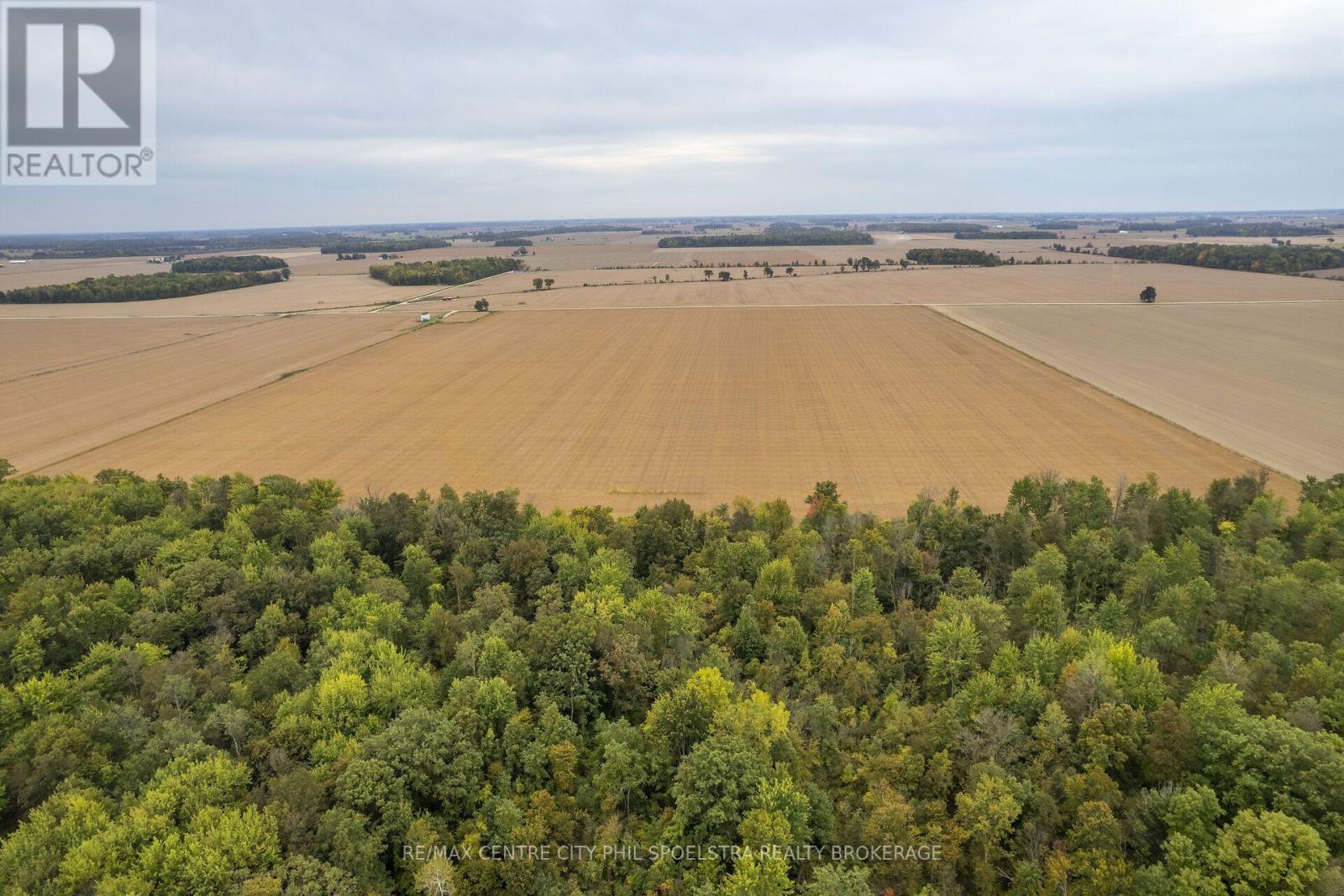 Holt Line — photo 16