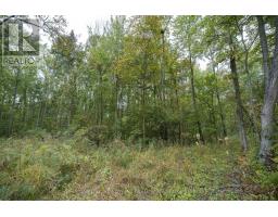 Lt 23-25 Conc 10 Holt Line, St  Clair, ON N8A4L2 Photo 18