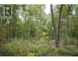 Lt 23-25 Conc 10 Holt Line, St  Clair, ON N8A4L2 Photo 21