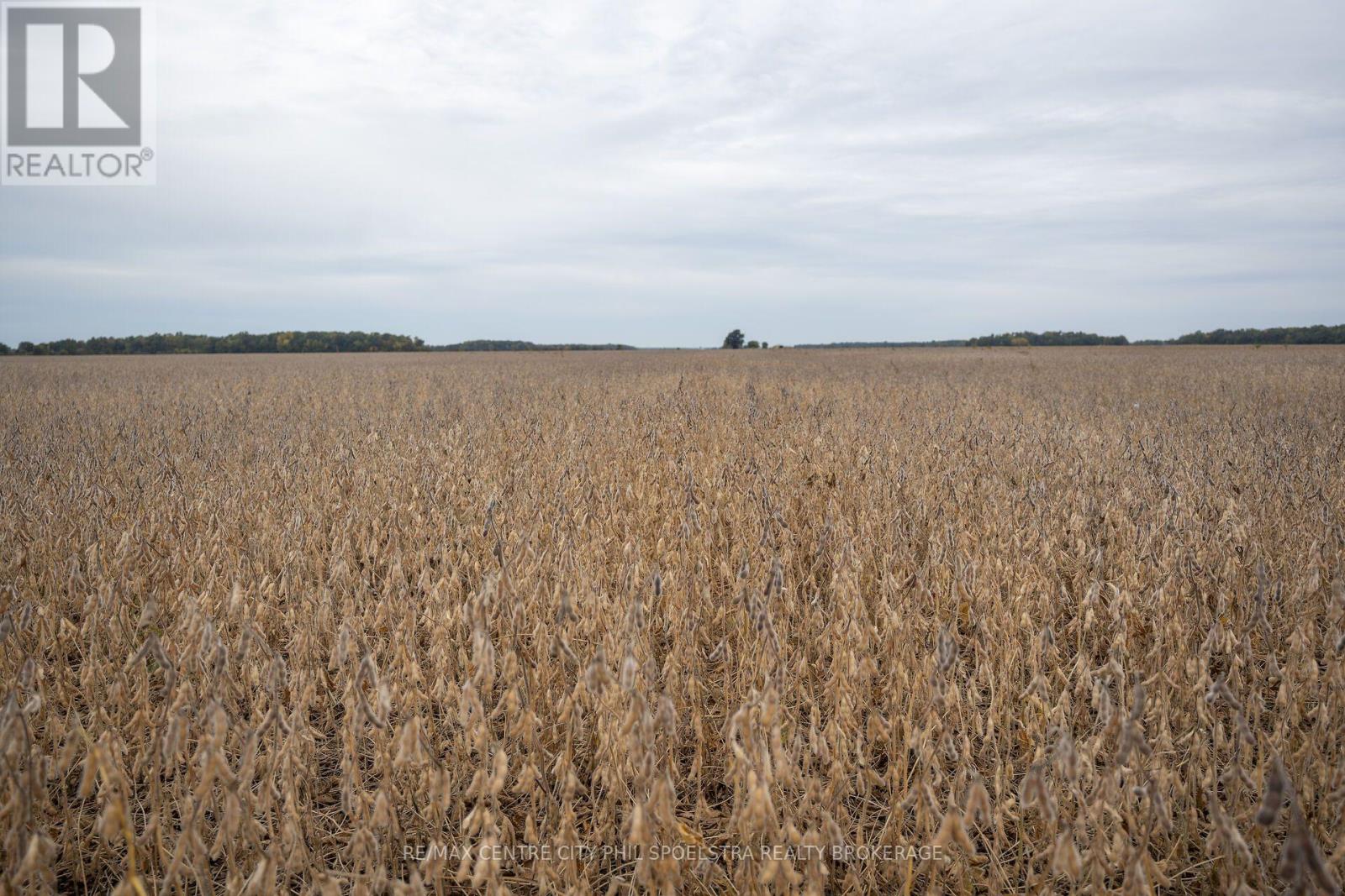 Conc 10 Holt Line — photo 18