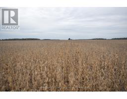 N1/2 Lt 22-23 Conc 10 Holt Line, St  Clair, ON N8A4L2 Photo 18