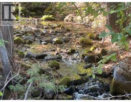 Lot 1 Thompson Road, Christina Lake, BC V0H1E0 Photo 7
