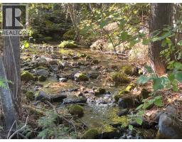 Lot 1 Thompson Road, Christina Lake, BC V0H1E0 Photo 8
