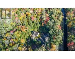2726 Old Muskoka Road, Huntsville, ON P0B1M0 Photo 31