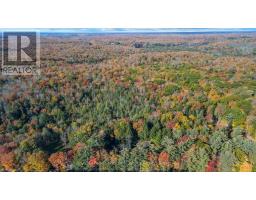 2726 Old Muskoka Road, Huntsville, ON P0B1M0 Photo 33