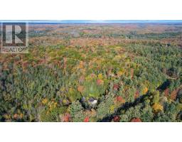 2726 Old Muskoka Road, Huntsville, ON P0B1M0 Photo 34