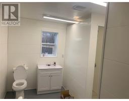 27 Farm Road, Black Duck Siding, NL A0N2G0 Photo 11