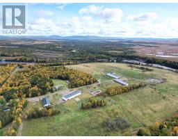 27 Farm Road, Black Duck Siding, NL A0N2G0 Photo 6