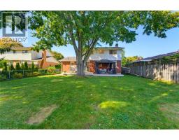 239 Carson Drive, Kitchener, ON N2B3H6 Photo 35