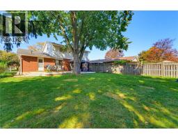 239 Carson Drive, Kitchener, ON N2B3H6 Photo 34
