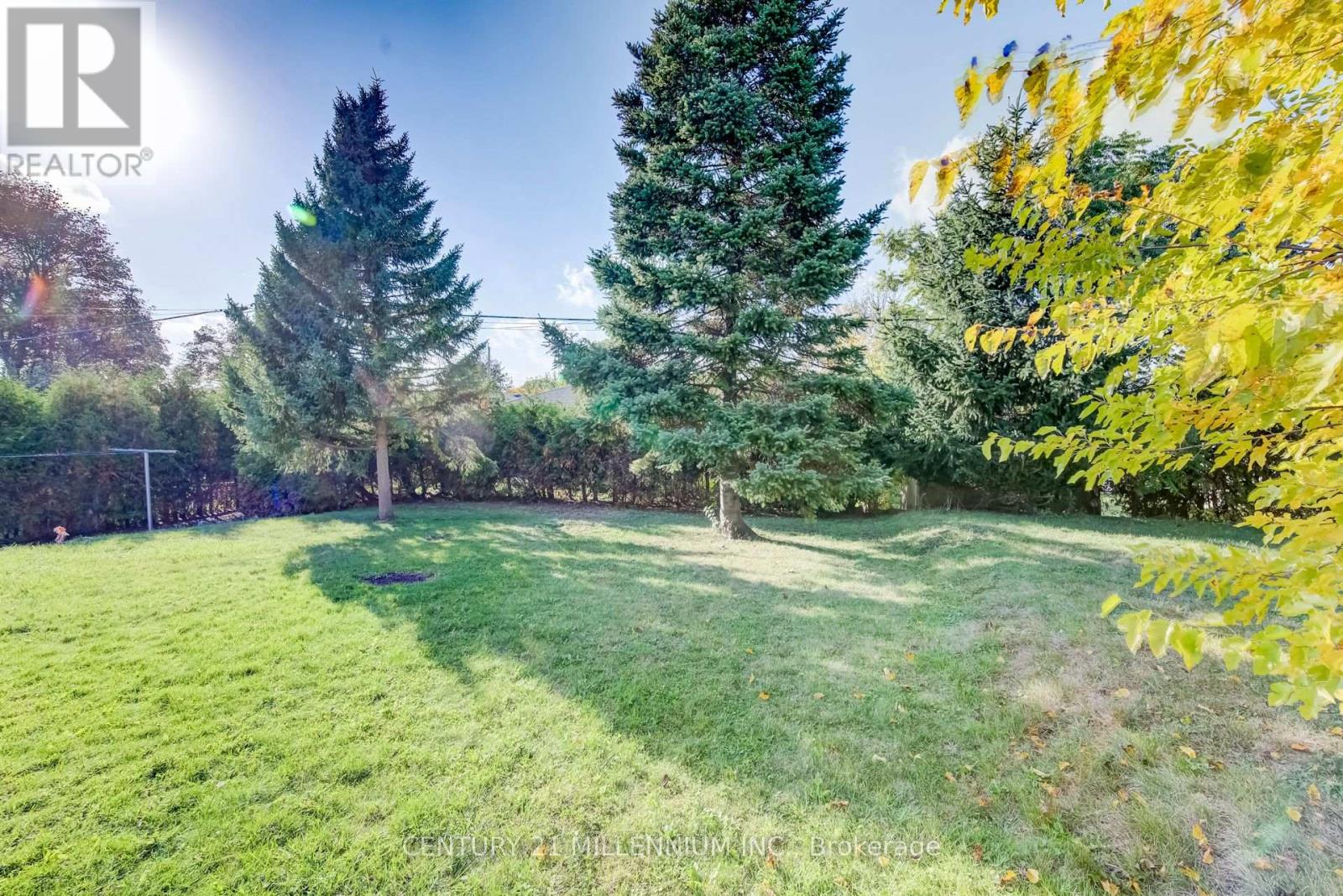 46 Traynor Avenue, Kitchener, ON photo 38