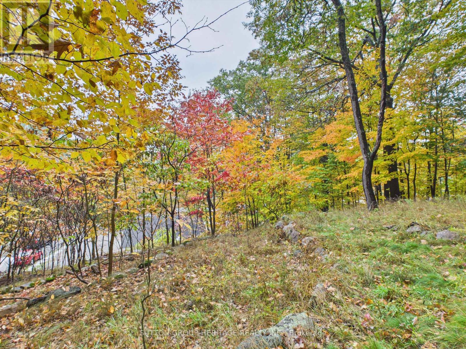 28 Joseph Street, Muskoka Lakes, ON photo 19