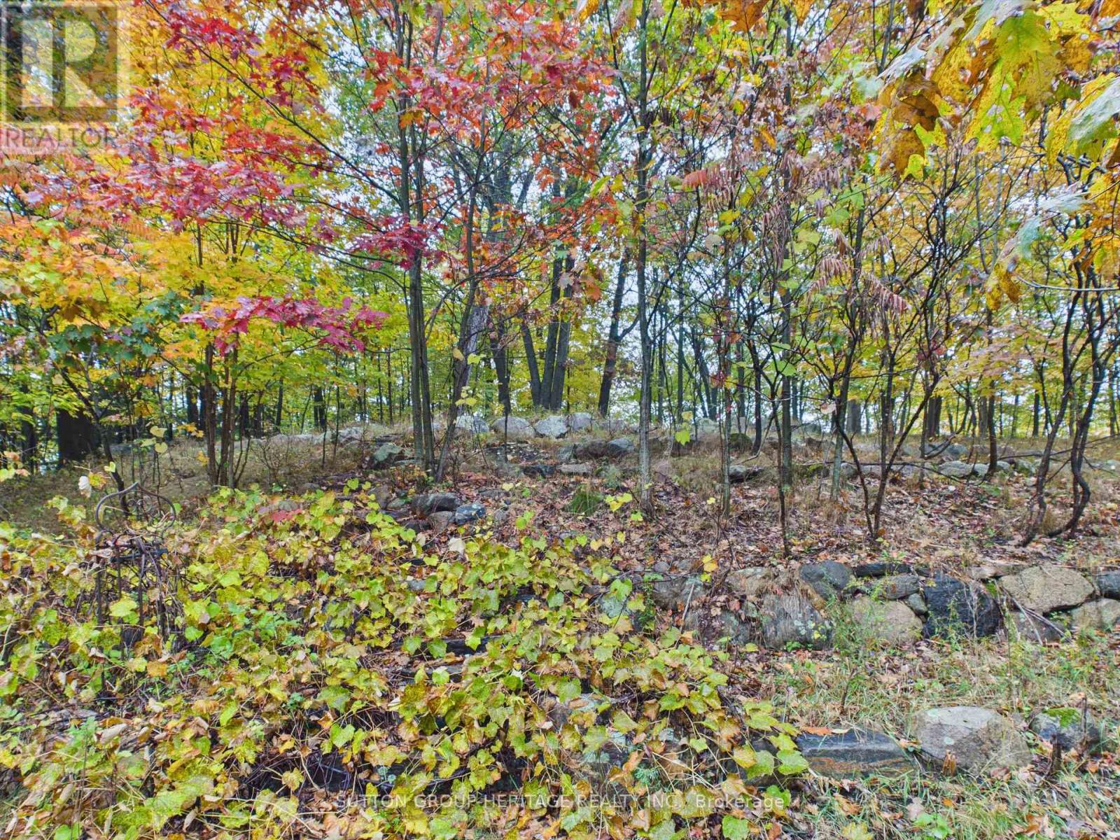 28 Joseph Street, Muskoka Lakes, ON photo 20