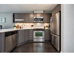 101 21009 56 Avenue, Langley, BC V3A0C9 Photo 11
