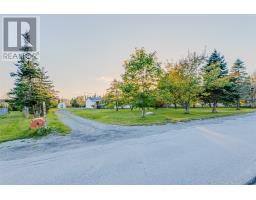 6 Back Road, Tors Cove, NL A0A4A0 Photo 27