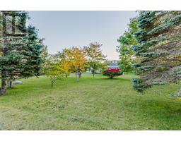 6 Back Road, Tors Cove, NL A0A4A0 Photo 28