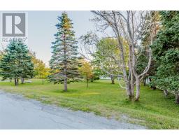 6 Back Road, Tors Cove, NL A0A4A0 Photo 29