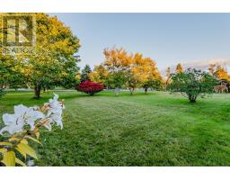 6 Back Road, Tors Cove, NL A0A4A0 Photo 38