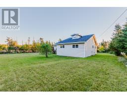 6 Back Road, Tors Cove, NL A0A4A0 Photo 39