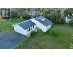 6 Back Road, Tors Cove, NL A0A4A0 Photo 40