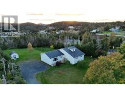 6 Back Road, Tors Cove, NL A0A4A0 Photo 42