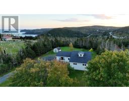 6 Back Road, Tors Cove, NL A0A4A0 Photo 43
