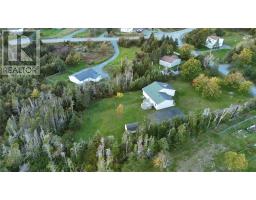 6 Back Road, Tors Cove, NL A0A4A0 Photo 45
