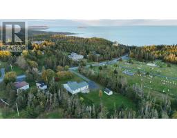 6 Back Road, Tors Cove, NL A0A4A0 Photo 46