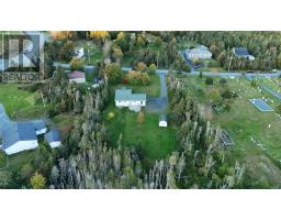 6 Back Road, Tors Cove, NL A0A4A0 Photo 47