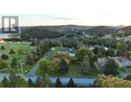 6 Back Road, Tors Cove, NL A0A4A0 Photo 48