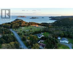 6 Back Road, Tors Cove, NL A0A4A0 Photo 49