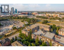 106, 59 22 Avenue Sw, Calgary, AB T2S3C7 Photo 47